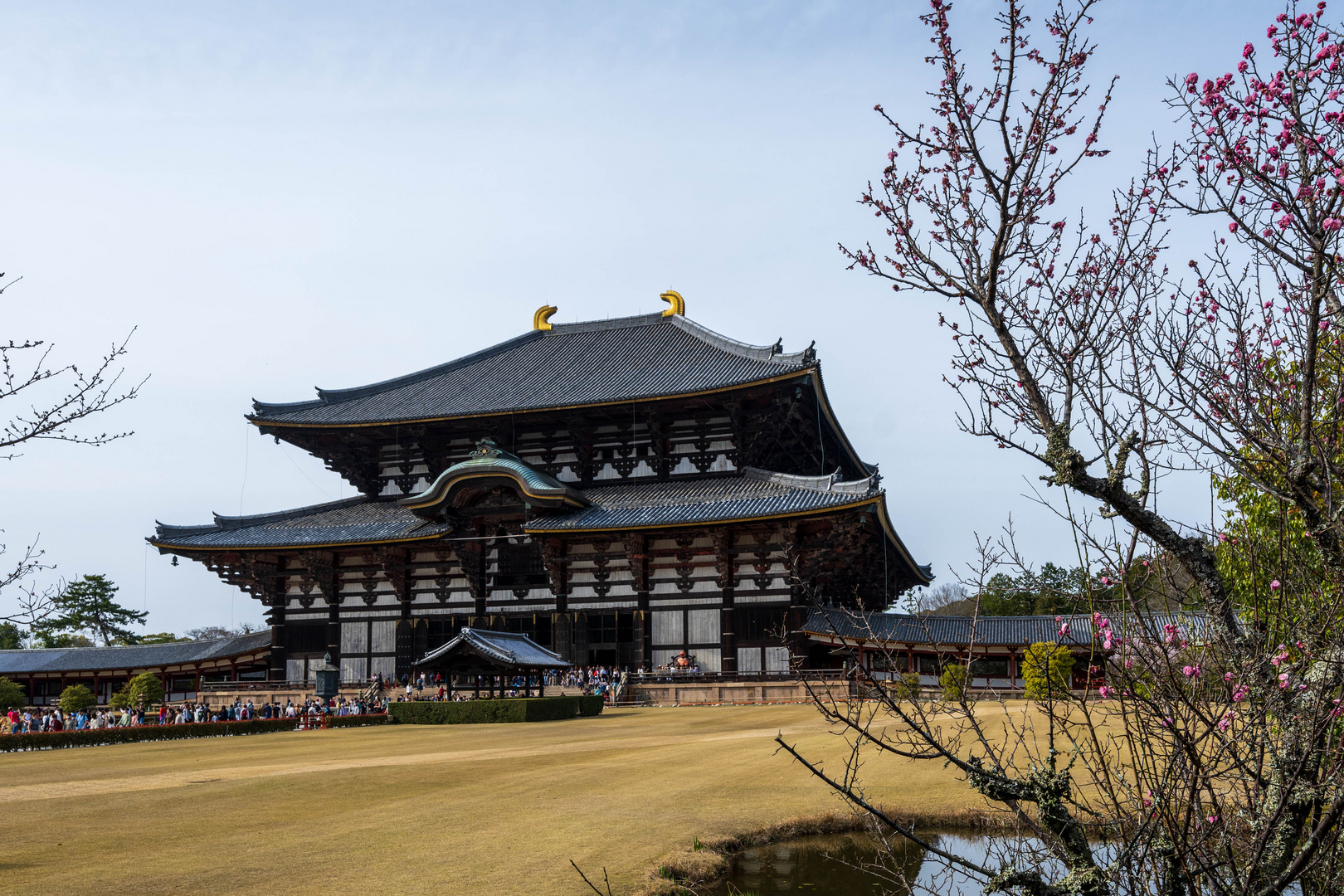Todaji-Tempel in Nara Japan