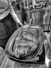 Today we're having fish... lots of it!