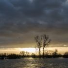 Today's High Water On The Lek River (NL)