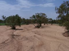 Todd River, Alice Springs, Northern Territory (Outback)