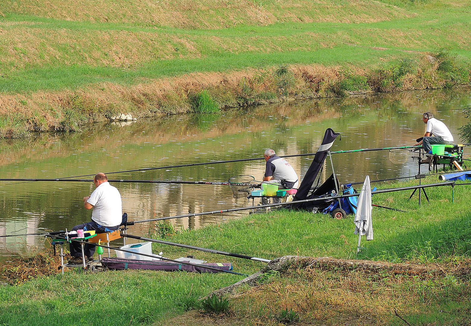 Todesstrecke für Fische