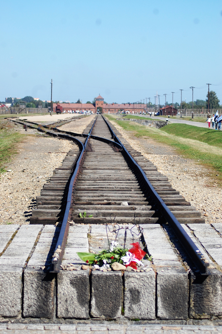 Todestor von Ausschwitz