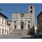 todi