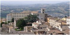 Todi