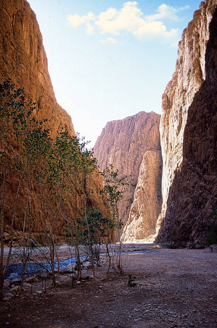 Todra Schlucht 