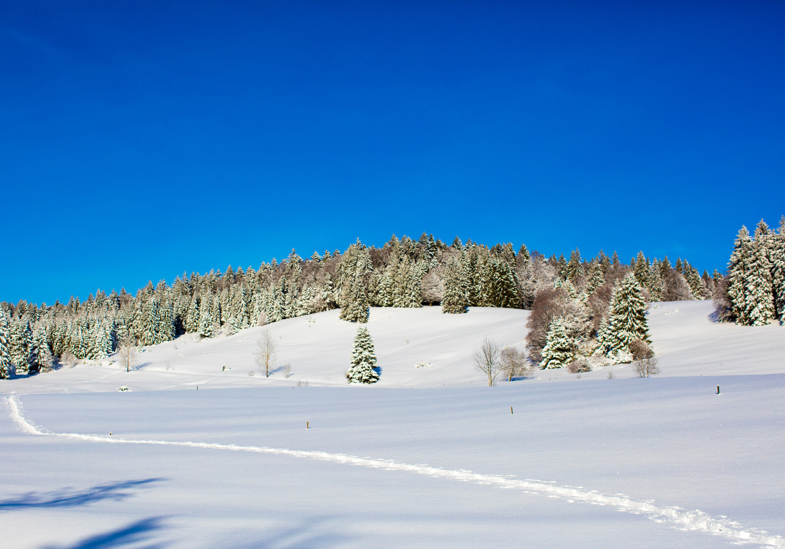 Todtmoos im Schwarzwaldzwald