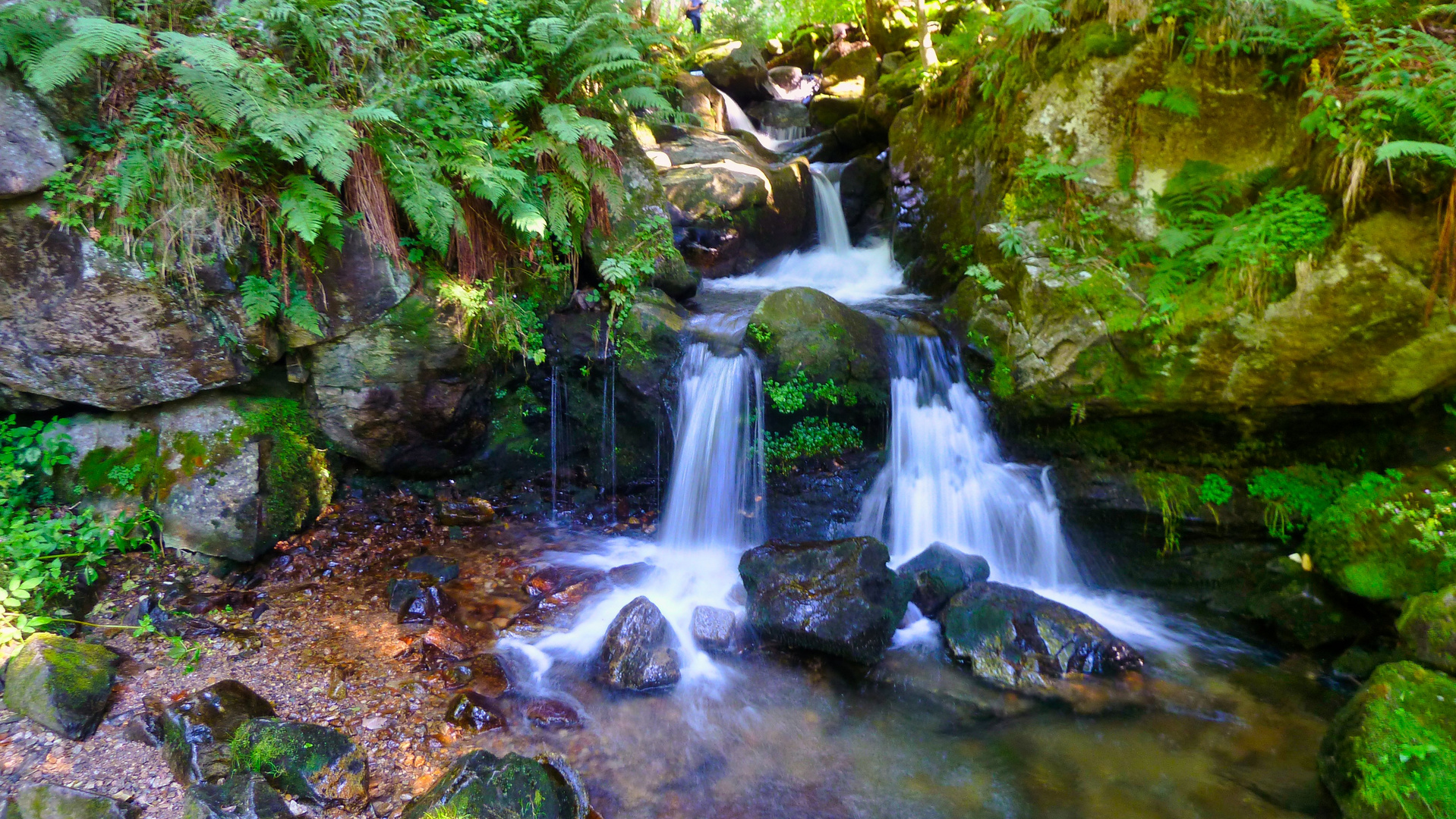 Todtnauberger Wasserfall