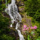 Todtnauer Wasserfälle