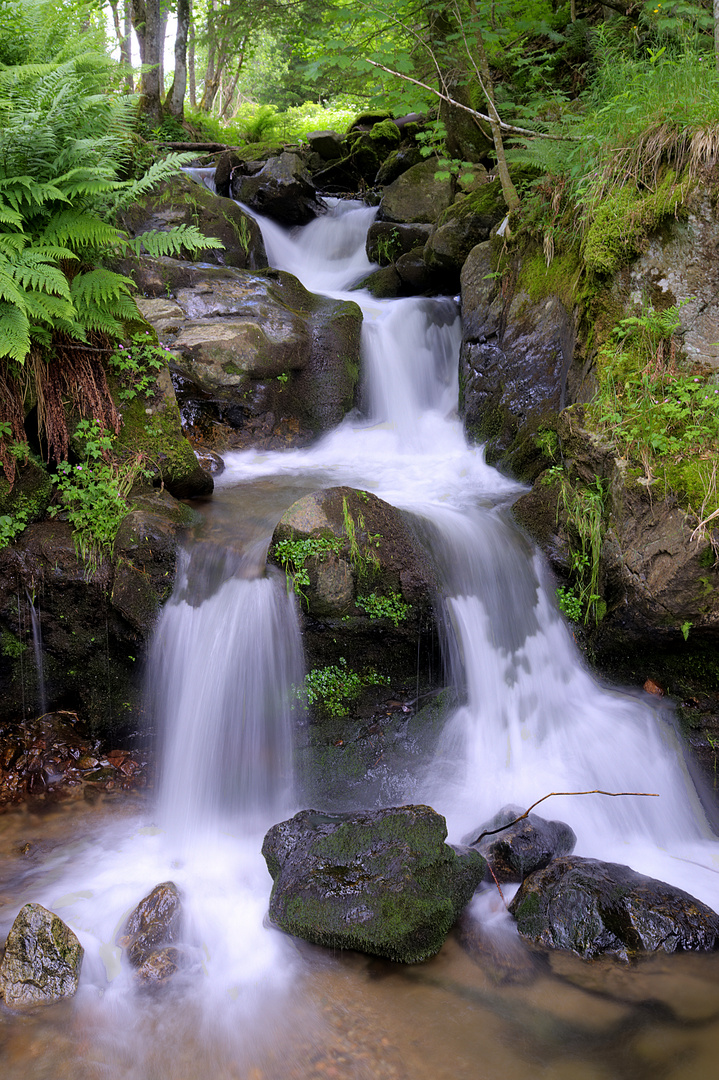 Todtnauer Wasserfall