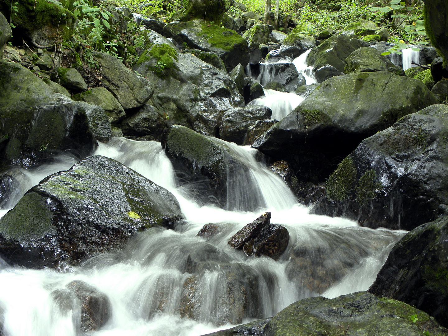 Todtnauer Wasserfall 2012