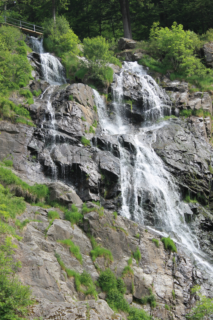 Todtnauer Wasserfall