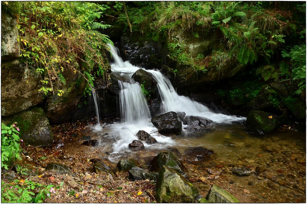 Todtnauer Wasserfall