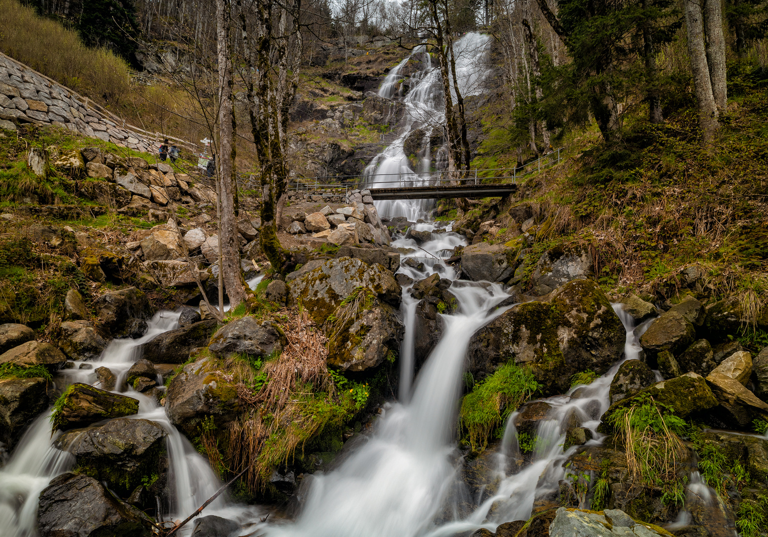 Todtnauer Wasserfall 4