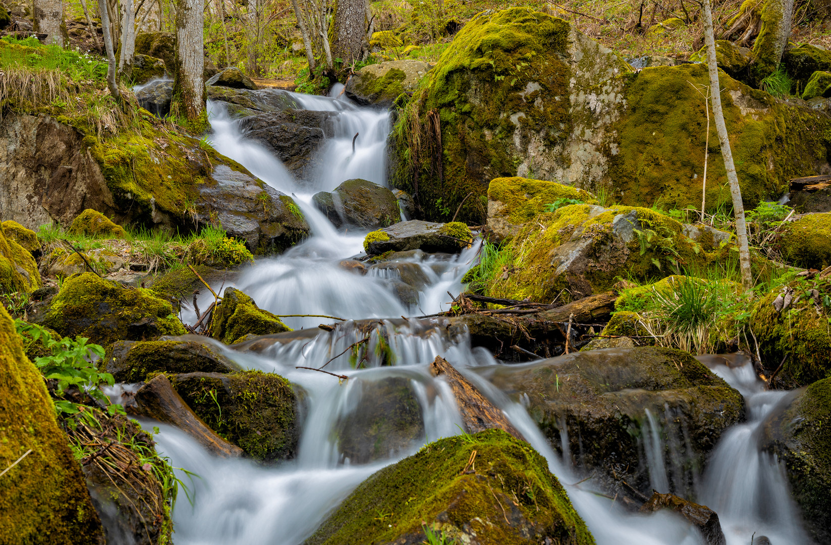 Todtnauer Wasserfall 5