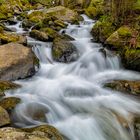 Todtnauer Wasserfall 6