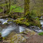 Todtnauer Wasserfall 7