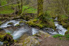 Todtnauer Wasserfall 7