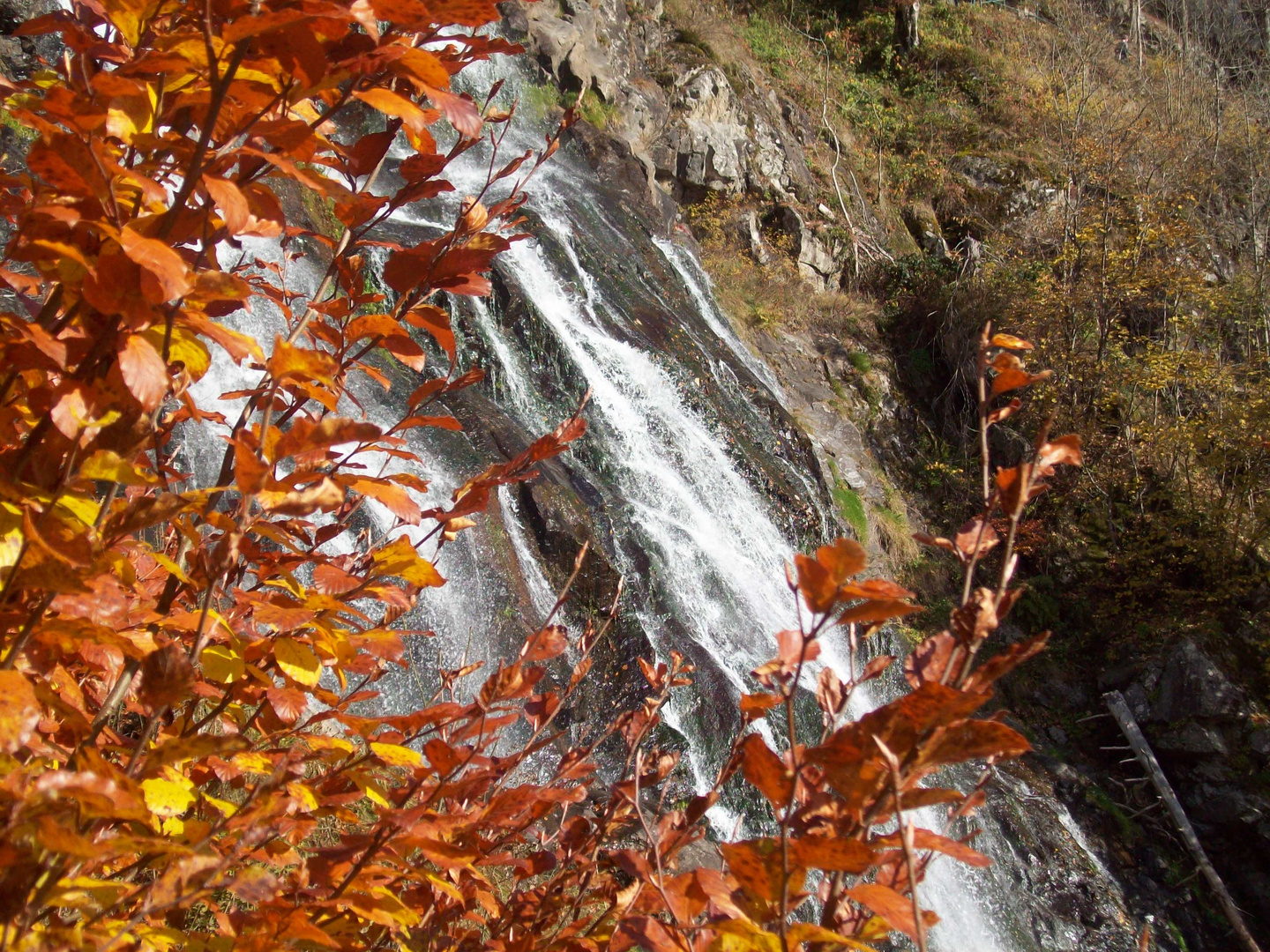 Todtnauer Wasserfall - Ausschnitt Herbst 2010