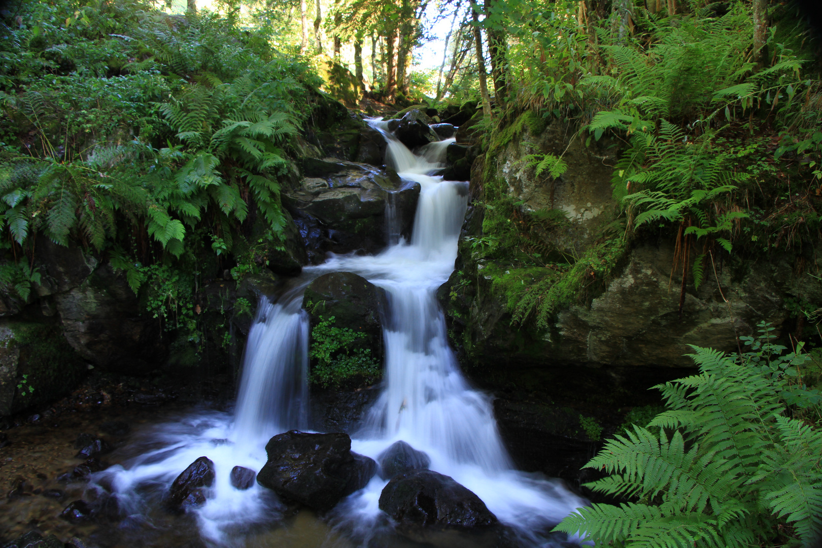 Todtnauer Wasserfall