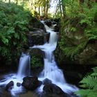 Todtnauer Wasserfall