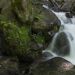 Todtnauer Wasserfall ( Detail )