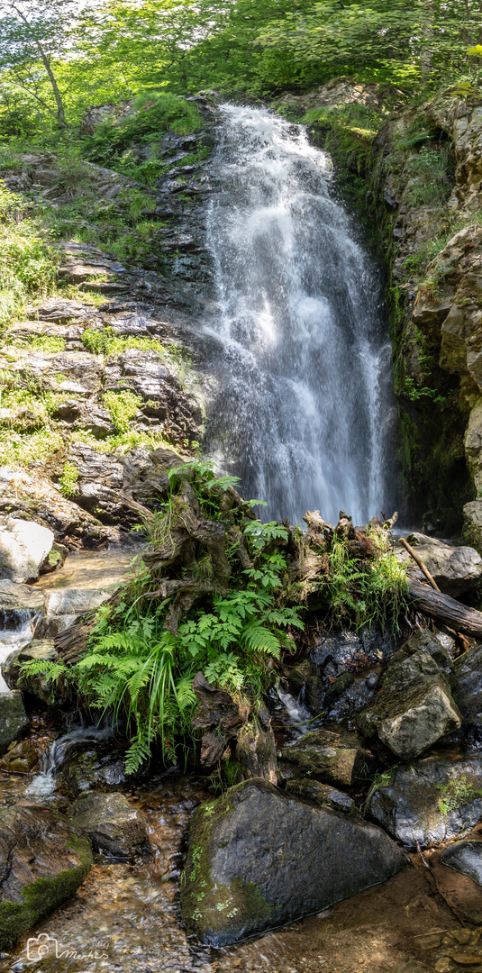 Todtnauer Wasserfall