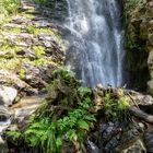 Todtnauer Wasserfall