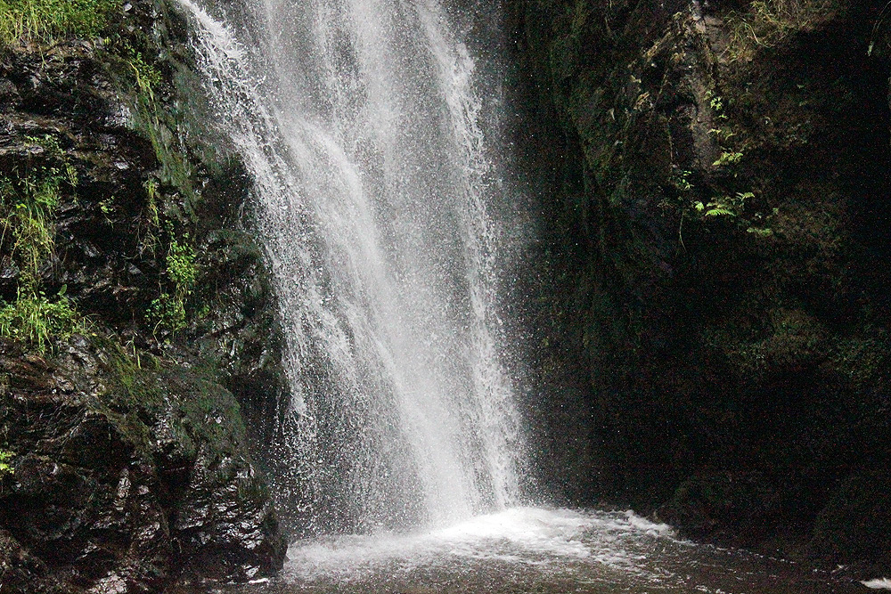 Todtnauer Wasserfall