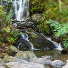 Todtnauer Wasserfall im mittleren Bereich