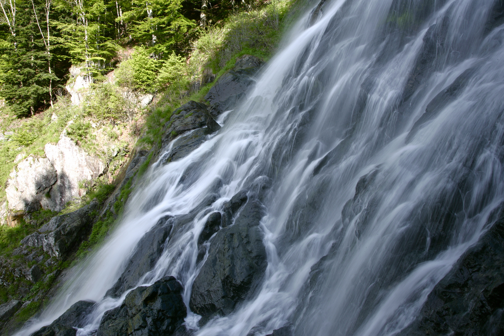 Todtnauer Wasserfall im Schwarzwald 2