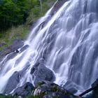 Todtnauer Wasserfall im Schwarzwald 4