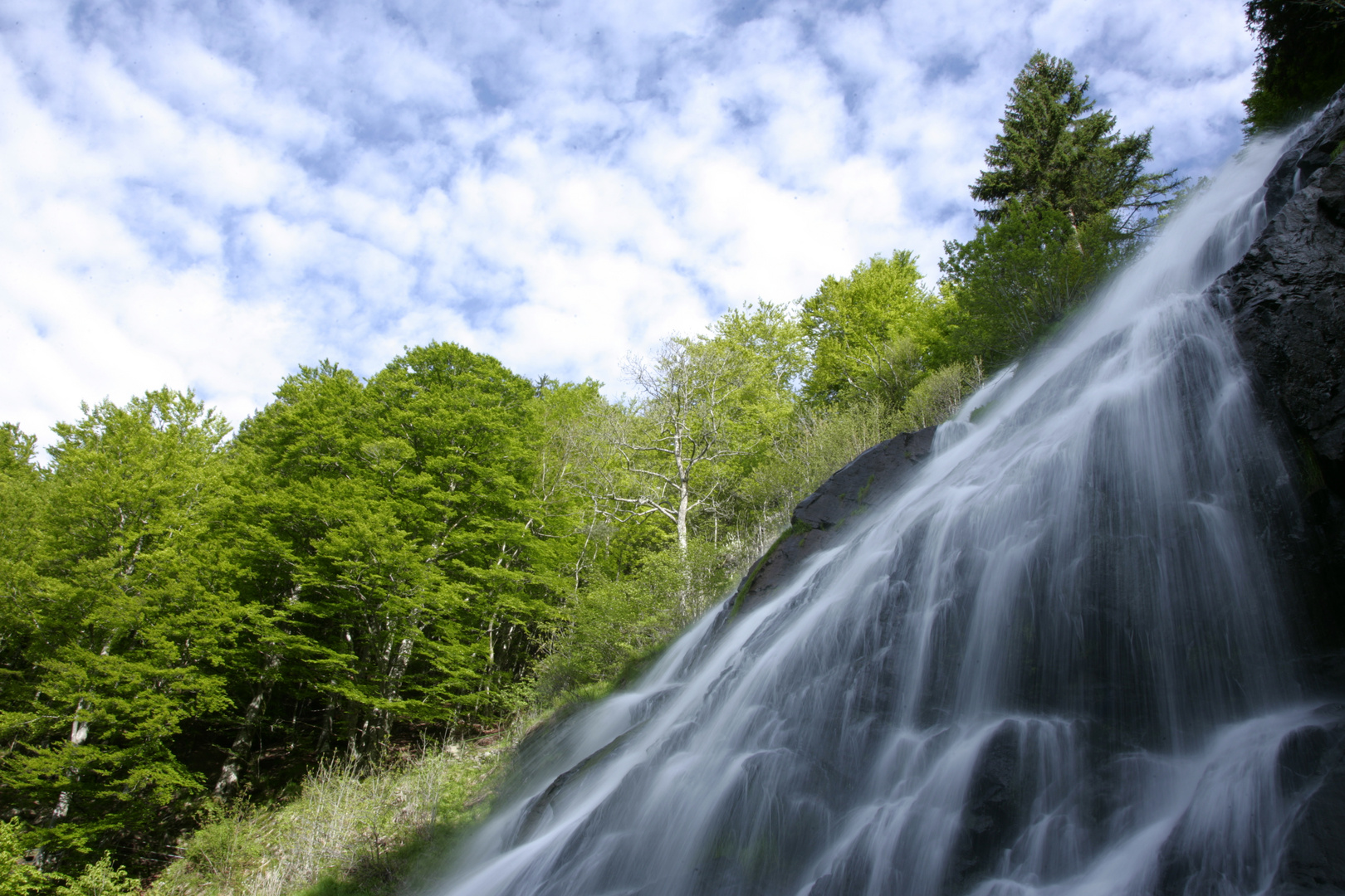 Todtnauer Wasserfall im Schwarzwald