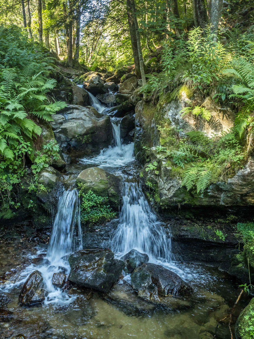 Todtnauer Wasserfall2