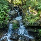 Todtnauer Wasserfall2