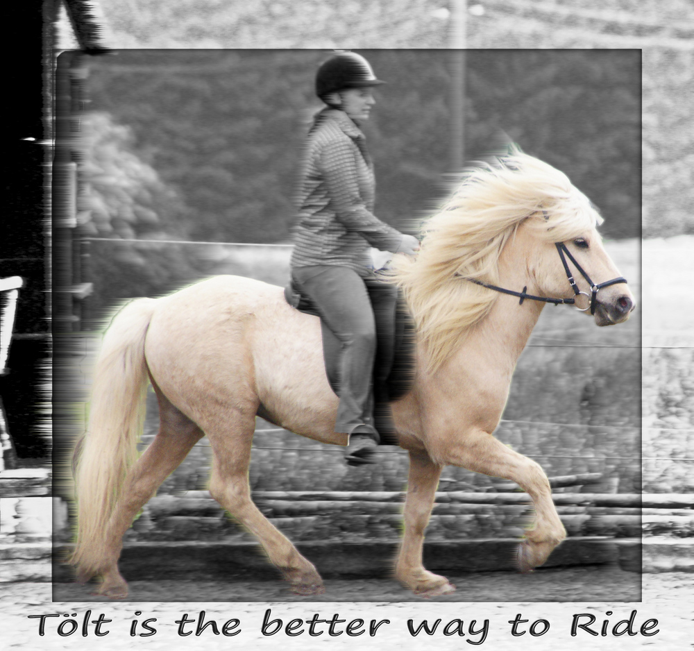 Tölt is the better way to Ride