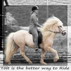 Tölt is the better way to Ride