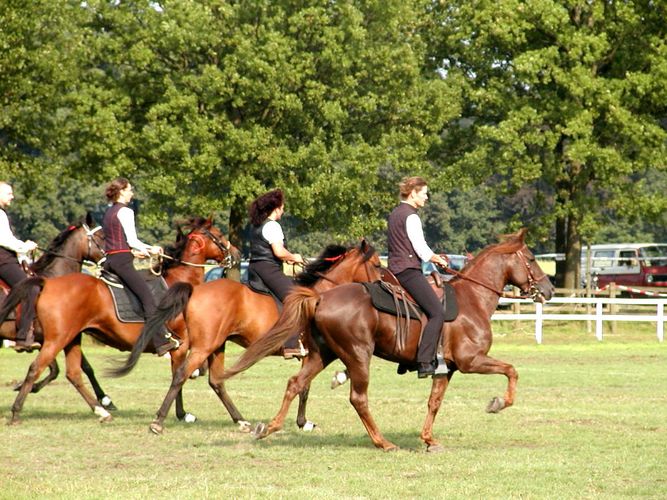 Töltende Traberquadrille beim TdoT Bocholt Barlo