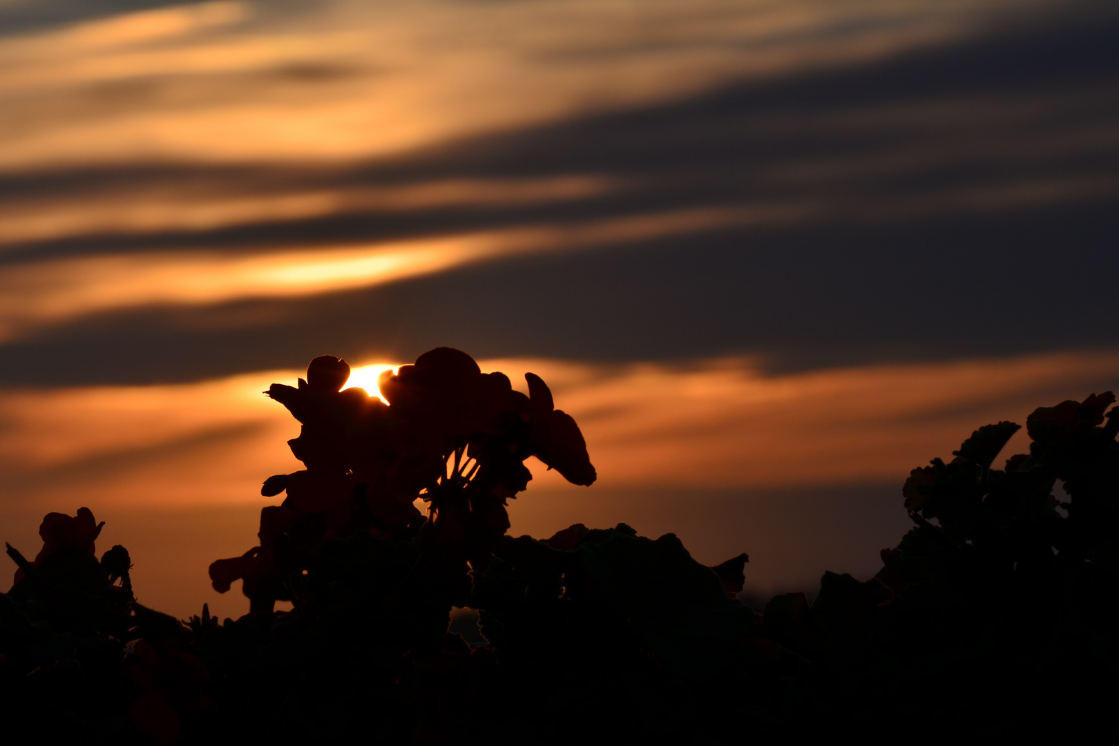 Töölö Sonnenuntergang