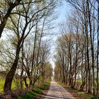 Töplitzinsel - "Straße" nach Göttin