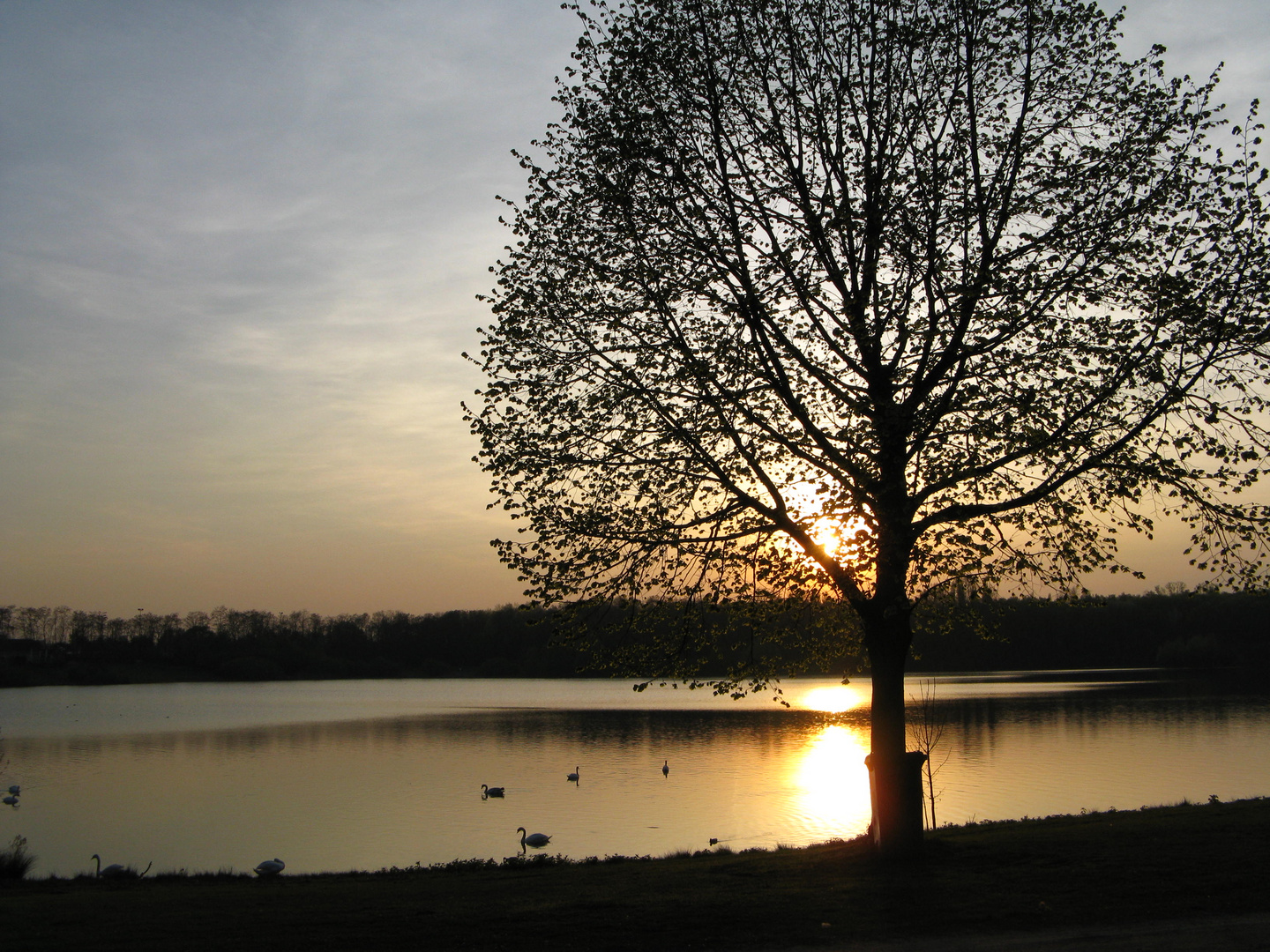 Toeppersee am Abend