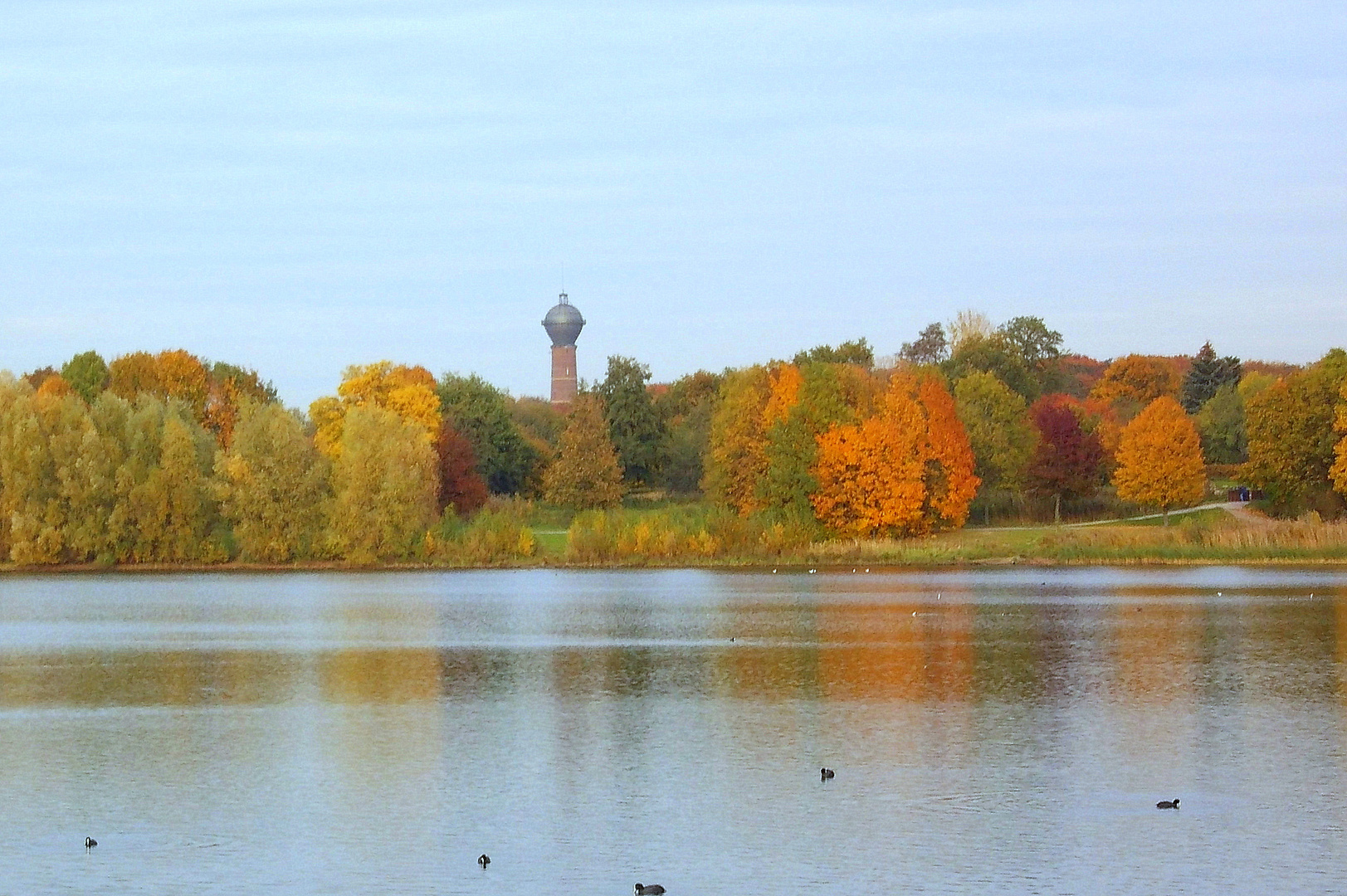 Toeppersee Duisburg Bergheim