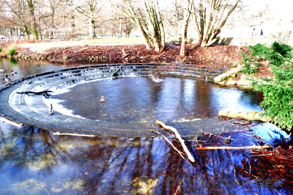 Törpel am Teich