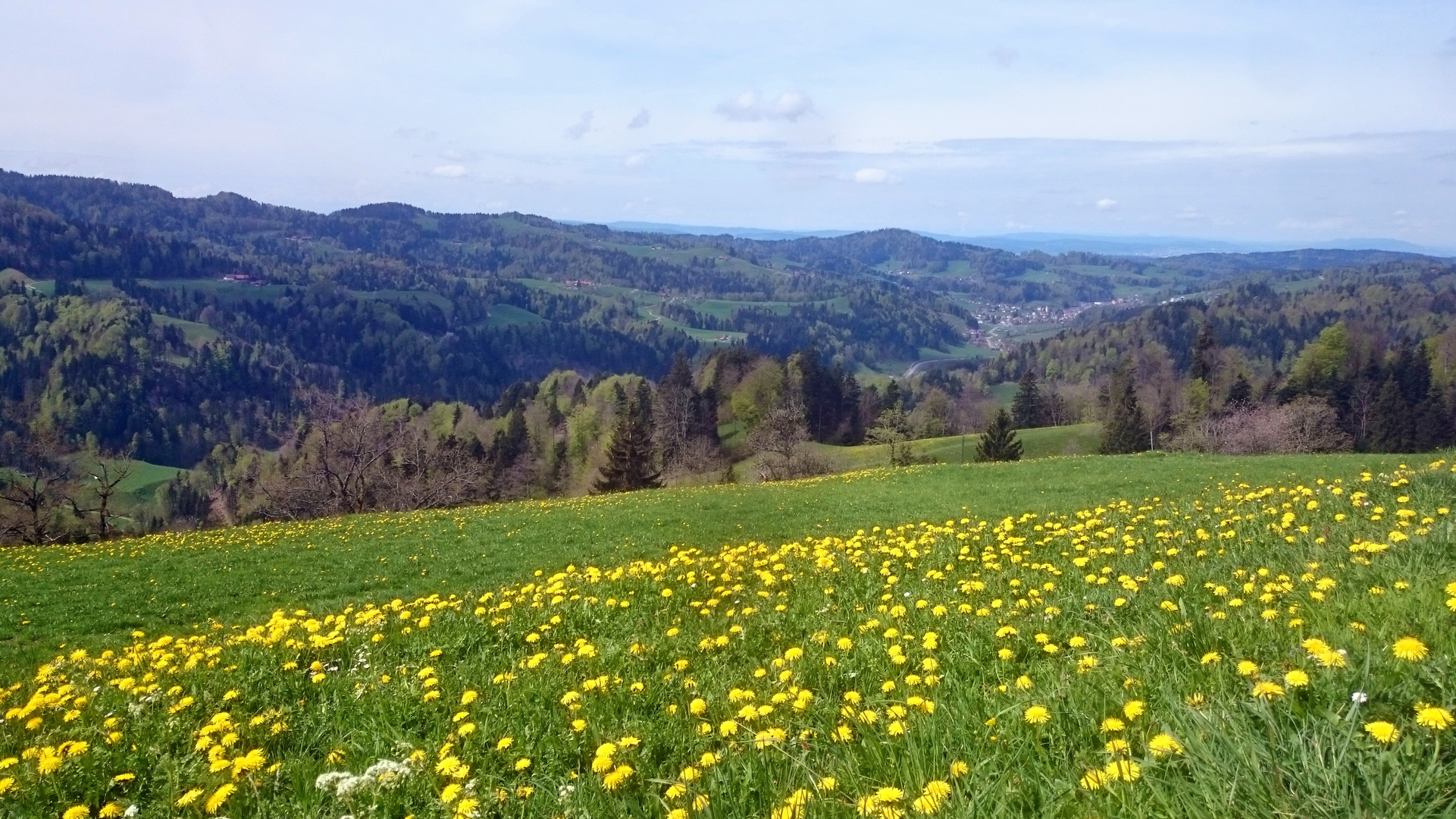 Tösstal Bauma