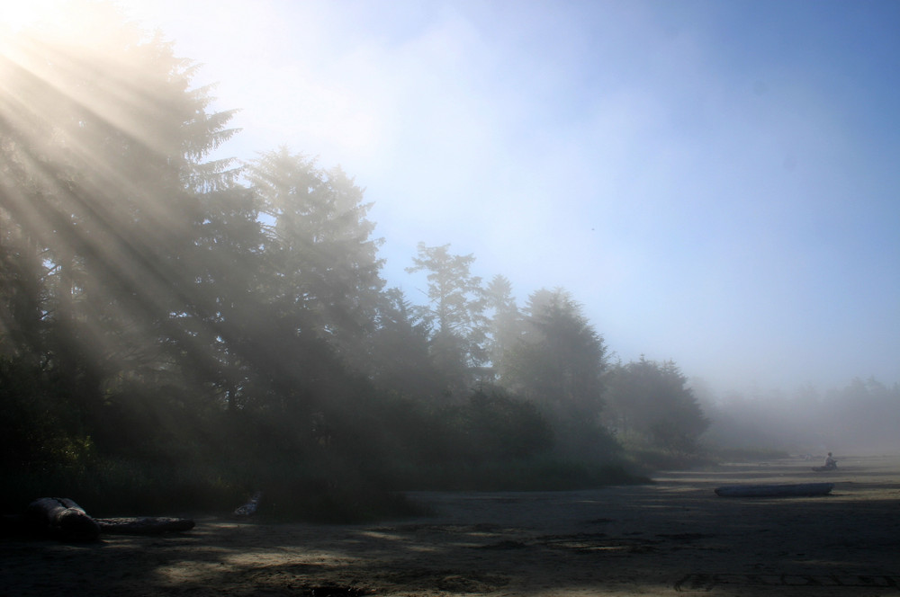 Tofino