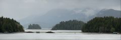 Tofino