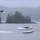 Tofino