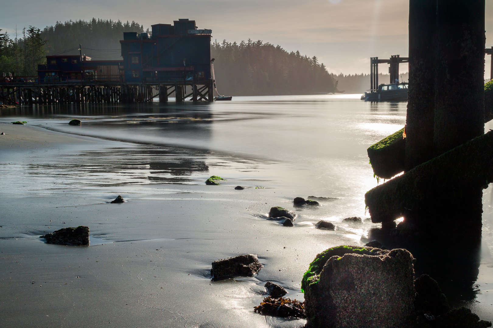 Tofino