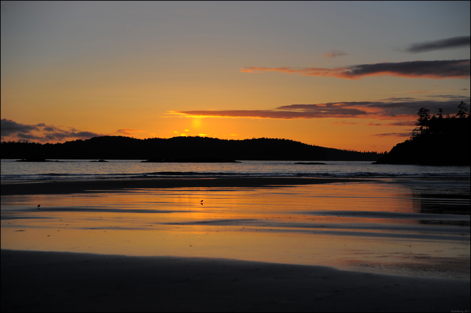 Tofino