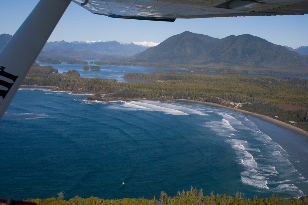 Tofino