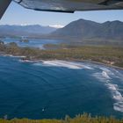 Tofino